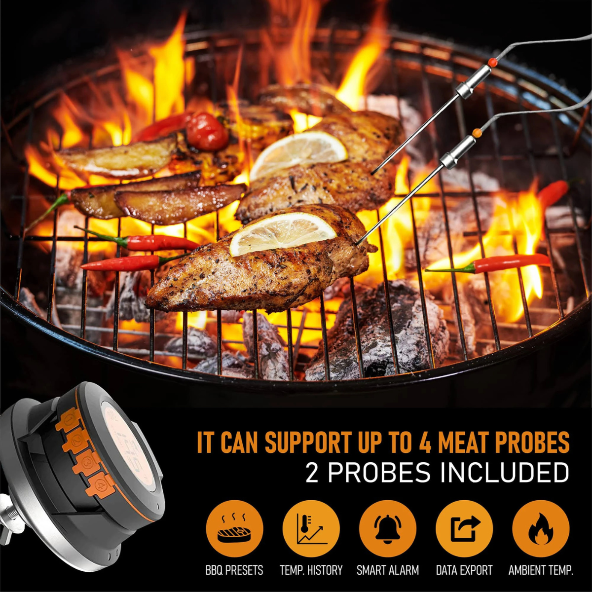 Termometro per barbecue AI + App mobile gratuita