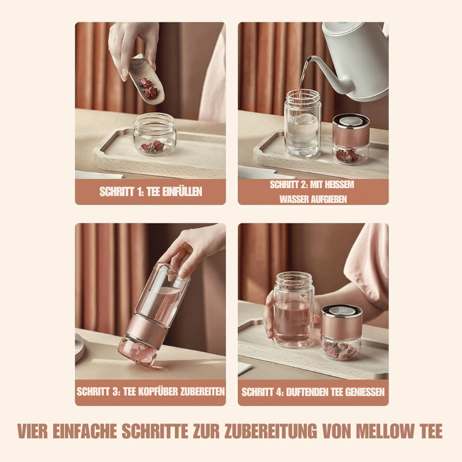 TeaNGo - Glas Tee Infuser Flasche