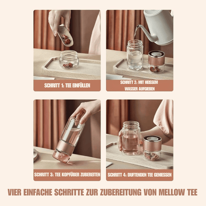 TeaNGo - Glas Tee Infuser Flasche